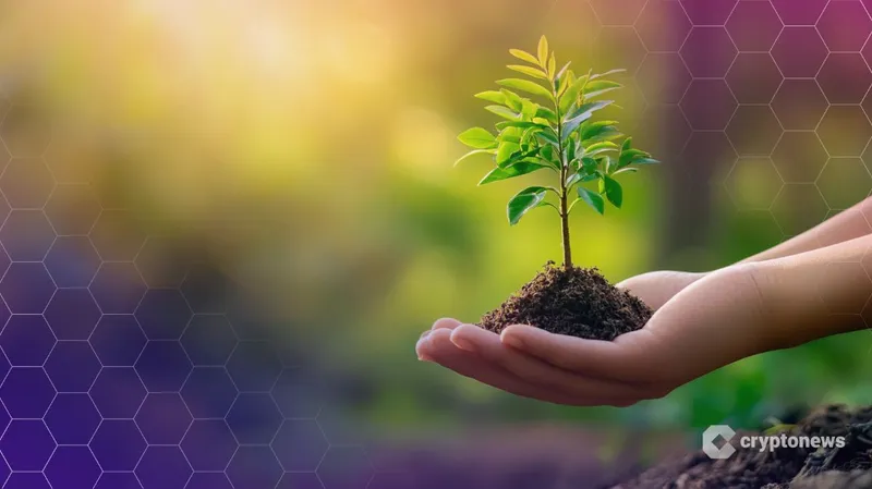 Curve创始人提议660万美元CRV资金支持生态系统发展