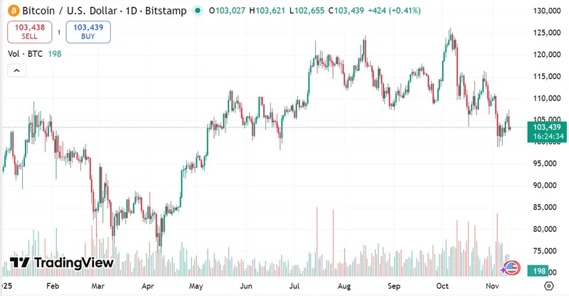 摩根士丹利：比特币进入秋季周期，建议投资者收获收益