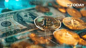 彼得·希夫批评迈克尔·塞勒855枚比特币购入策略失误