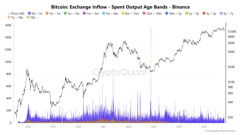 比特币短期回调未改牛市结构长期持有者信心强劲