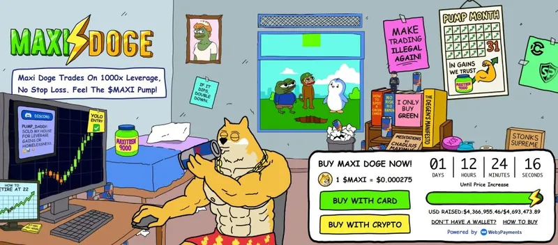 This image has an empty alt attribute; its file name is image-427-2-1024x451.jpg