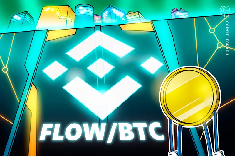币安下架FLOW/BTC交易对，漏洞事件后对代币添加风险标记