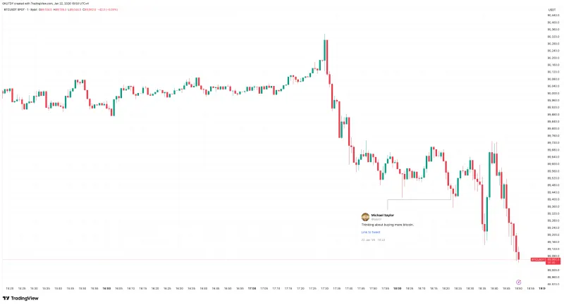 迈克尔·塞勒称考虑增持比特币，市场反弹乍现又回落