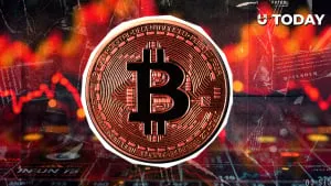 比特币并非无信任，NickSzabo揭示其真实特性