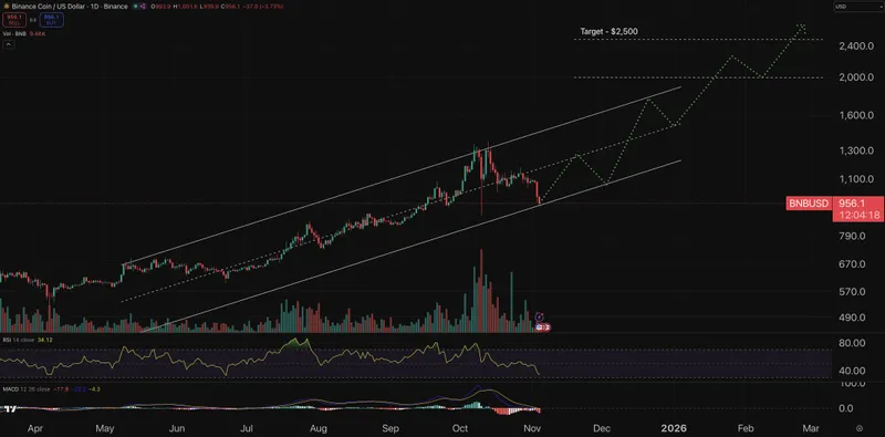 BNB Coin price chart.