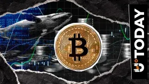 机构鲸鱼积极增持比特币，散户投资者逐渐退场