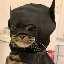 batcat
