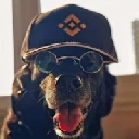binancedog-token