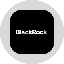 blackrock-inc-tokenized-stock-ondo