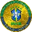 brazil-national-football-team-fan-token