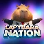 capybara-nation