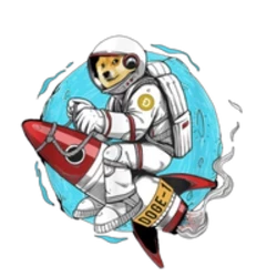 doge-1-mission-to-the-moon