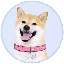 dogegf