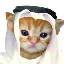 habibi-cat
