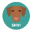 hungarian-vizsla-inu