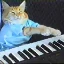 keyboard-cat-sol