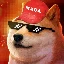 maga-doge