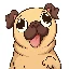 pug-inu