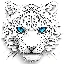 snow-leopard