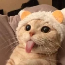 tongue-cat