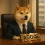 xdogecto