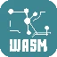 ZKWASM
